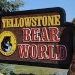 Bear-World-Yellowstone
